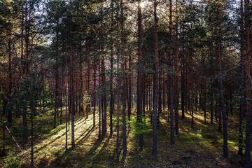 Фото Курортные отели Svečių namai Smalvas г. Висагинас 2